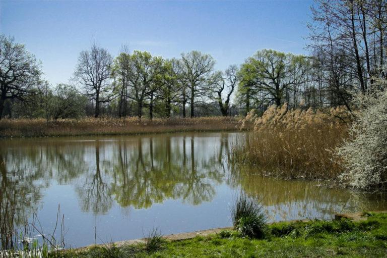 Hospoda-Ferienhaus Am Olba-See Malschwitz 外观 照片